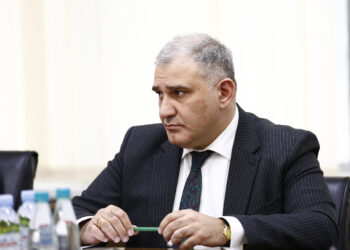 მიხეილ სარჯველაძე დიუშენის სამკურნალო პრეპარატებზე — „ეს საკითხი აუცილებლად საჭიროებს ყოველმხრივ შეფასებას. ამით არის დაკავებული დღეს ევროპის არაერთი სახელმწიფო კი არა, პრაქტიკულად, ყველა სახელმწიფო“